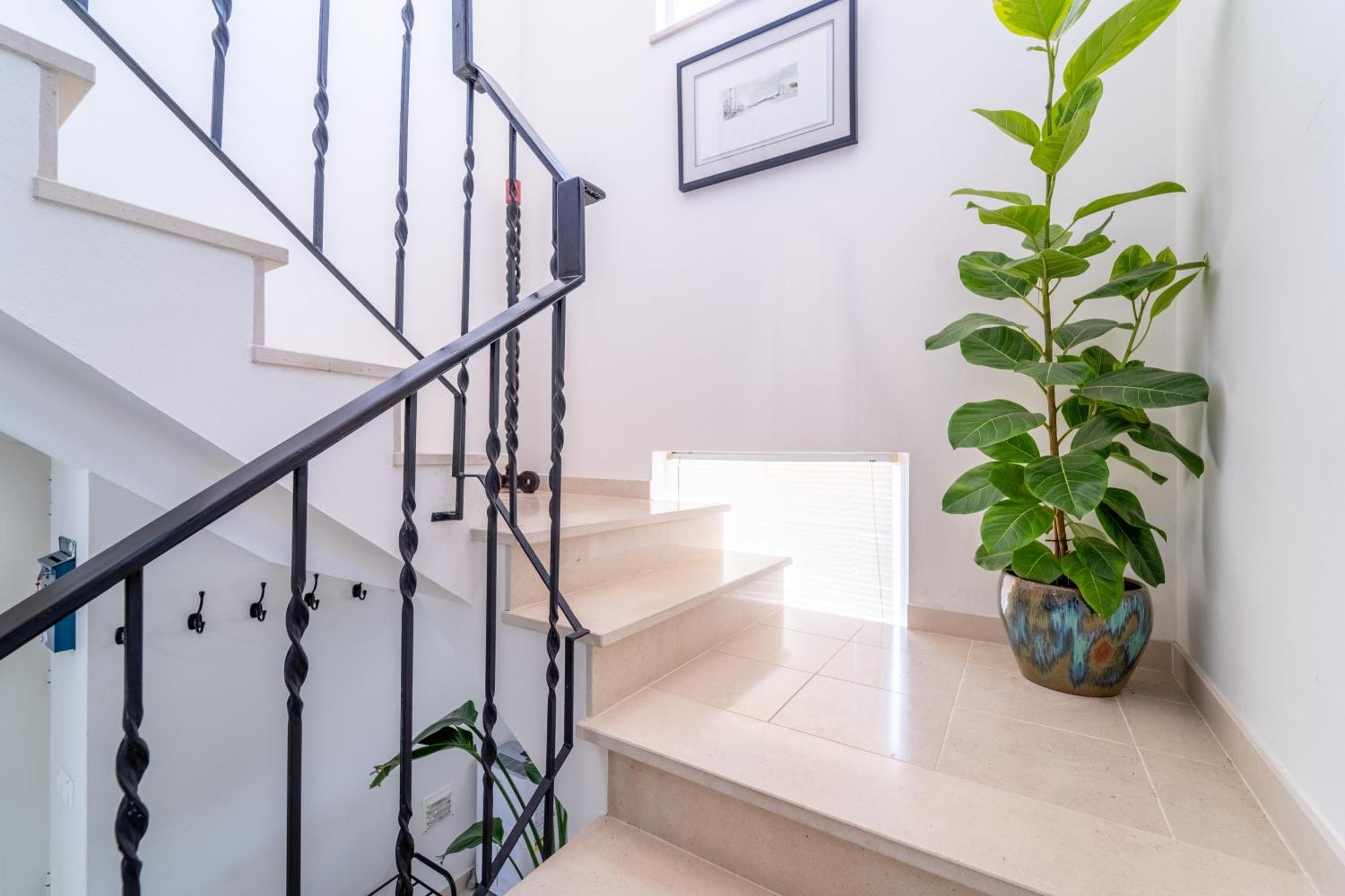 Casa Da Bauhinia Villa Aljezur Ngoại thất bức ảnh